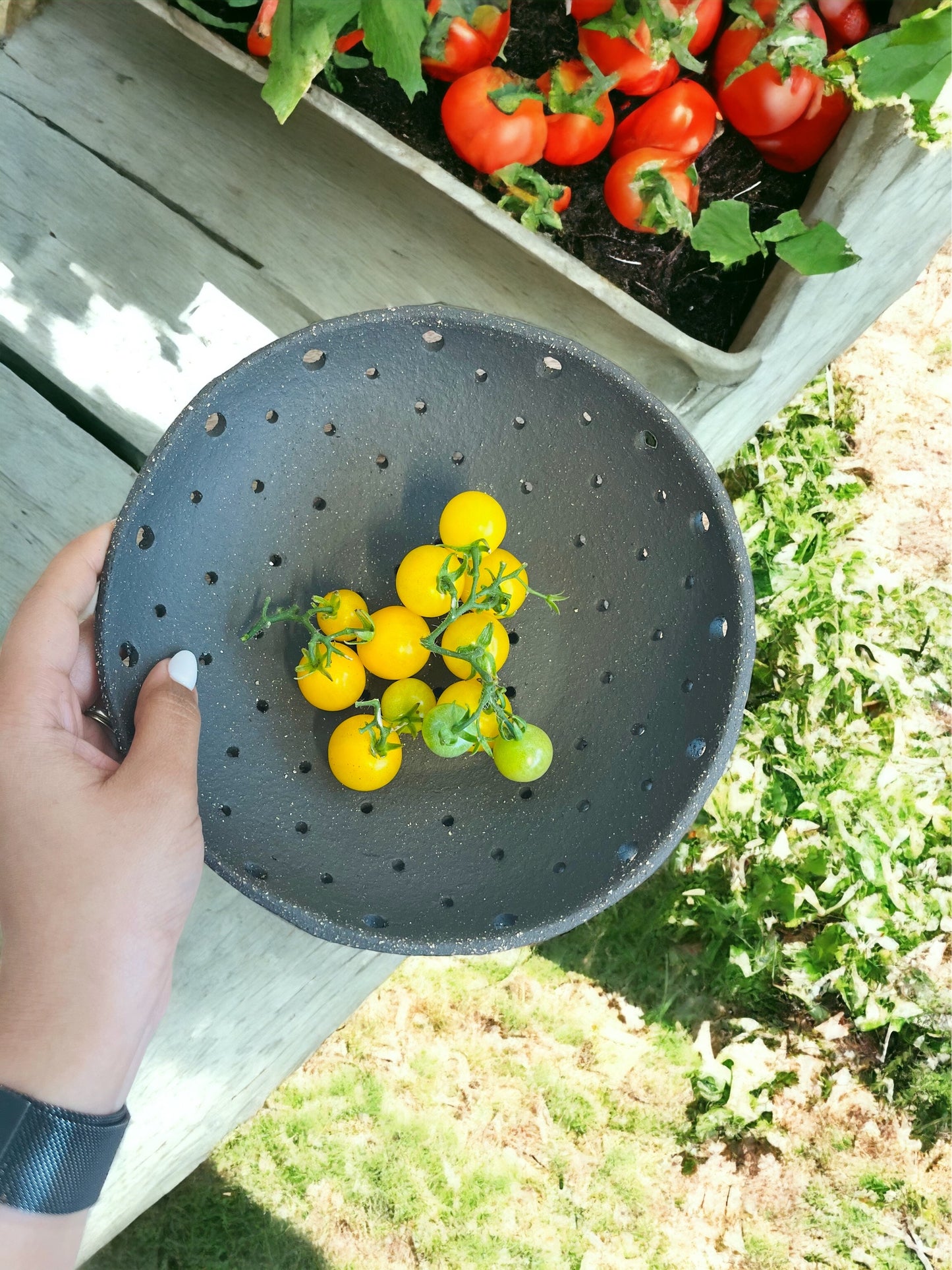 Farm-to-Table Bowl (with a plate)