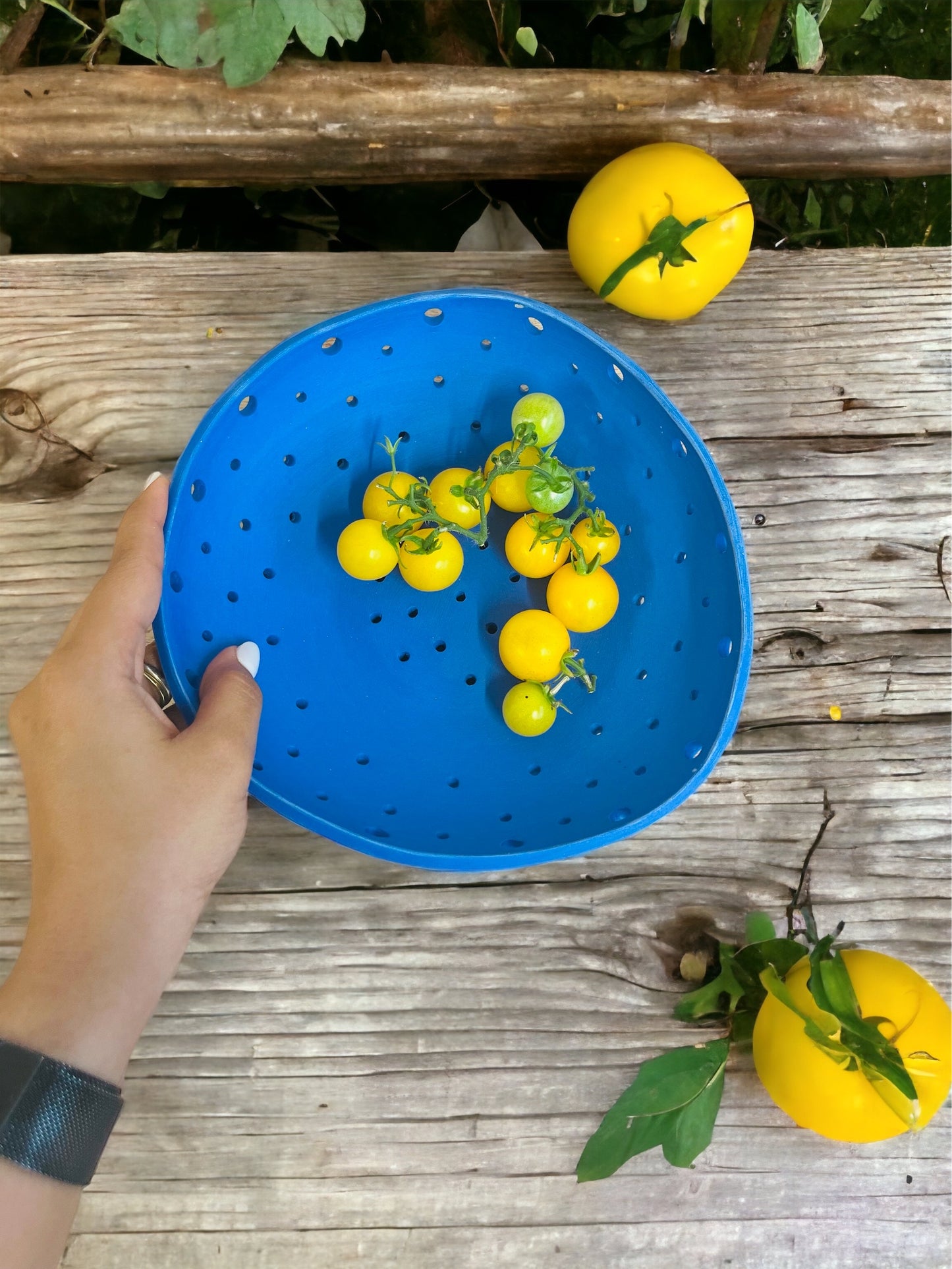 Farm-to-Table Bowl (with a plate)