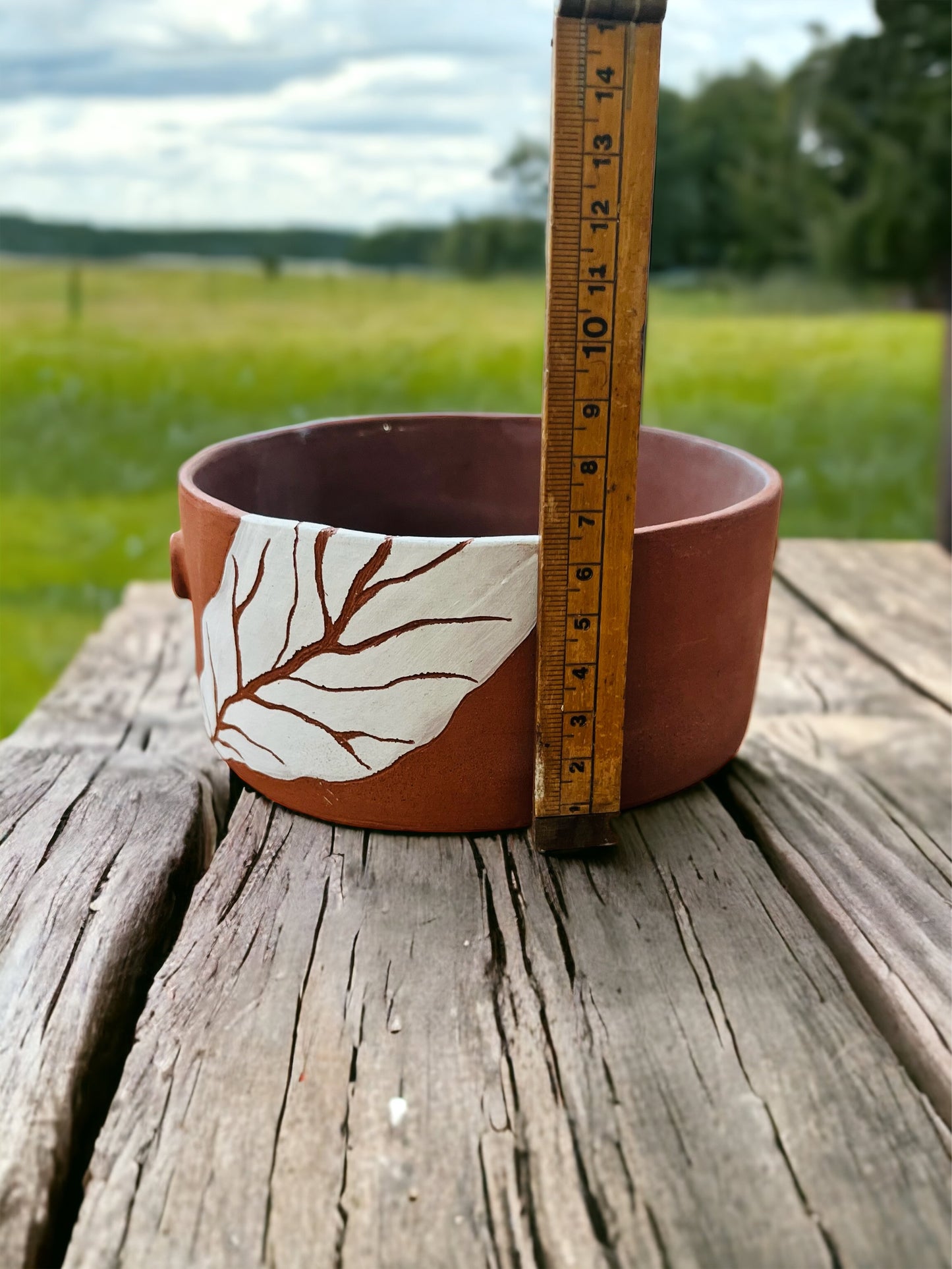 Aesthetic Bowl