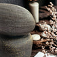 Curvaceous 01: A Celebration of Feminine Form