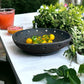 Farm-to-Table Bowl (with a plate)