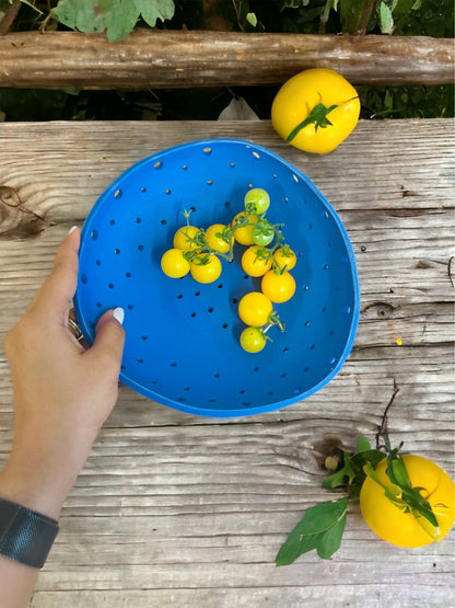 Farm-to-Table Bowl (with a plate)