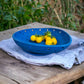Farm-to-Table Bowl (with a plate)